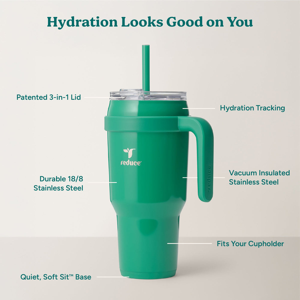 cold1-40-oz-l4 Cold1_40oz_PalmLeaf_Infographic_2.jpg