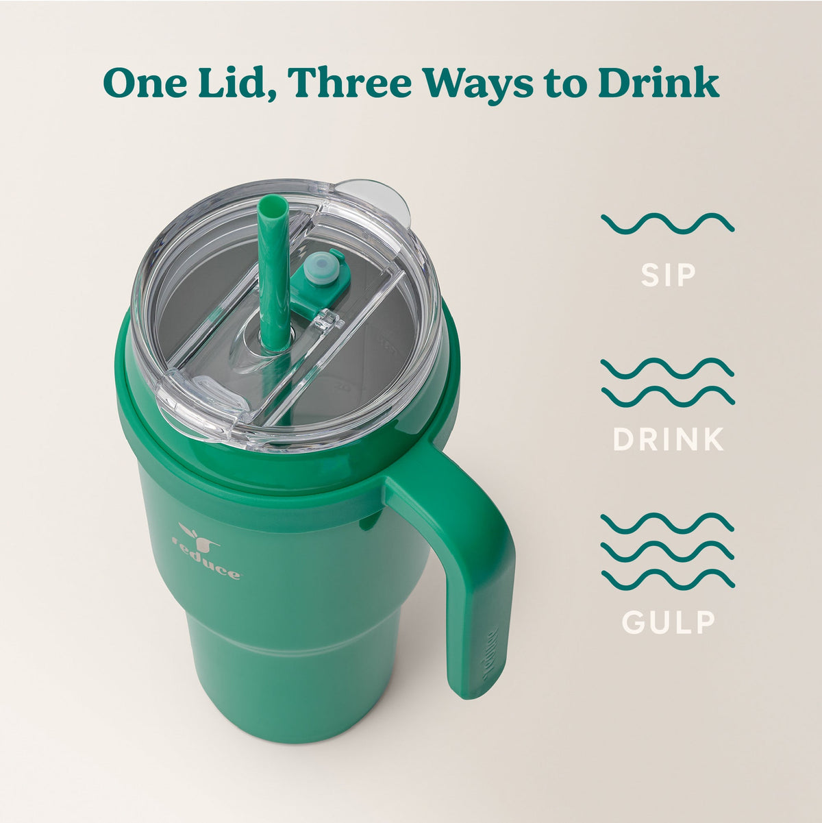 cold1-40-oz-l4 Cold1_40oz_PalmLeaf_Infographic_3.jpg