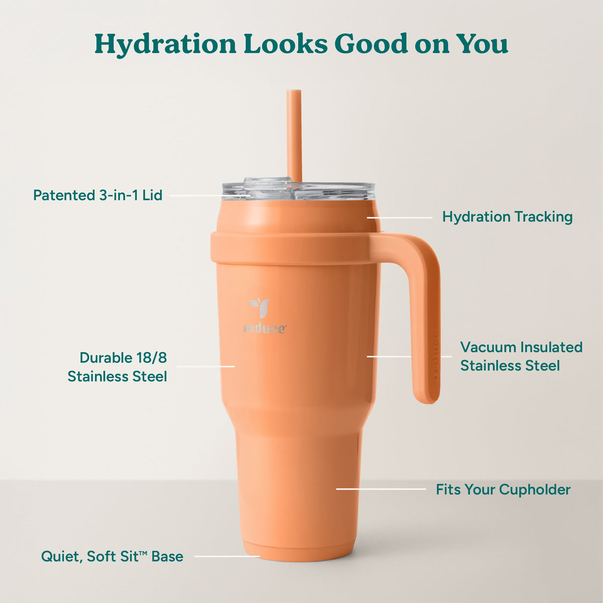 cold1-40-oz-l4 Cold1_40oz_Papaya_Infographic_2.jpg